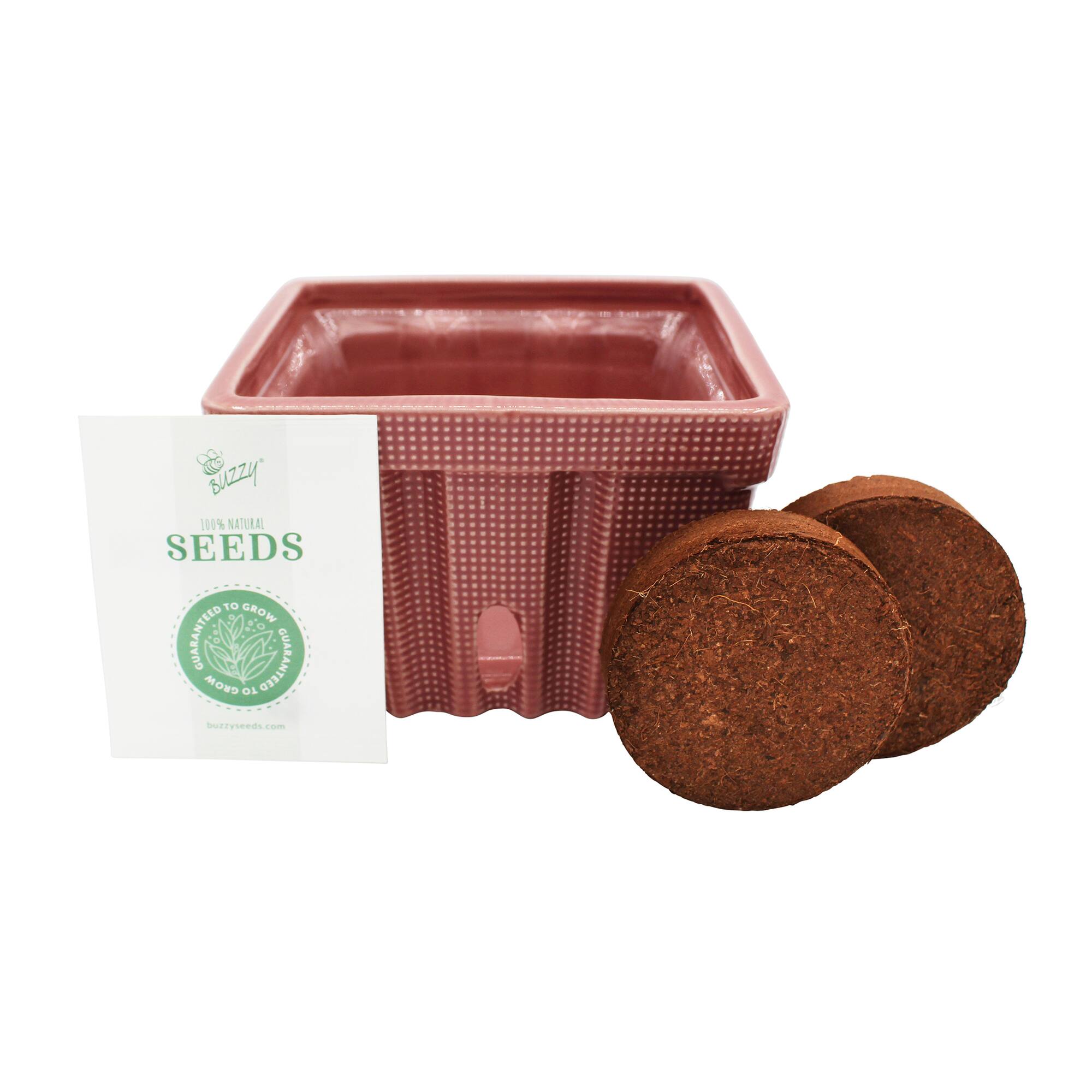 Buzzy® Sweet Strawberry Ceramic Basket Complete Grow Kit